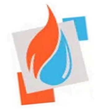 Nicolas Piccillo Logo